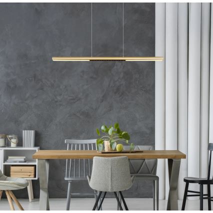 Globo - LED полилей на кабел LED/24W/230V 3000K