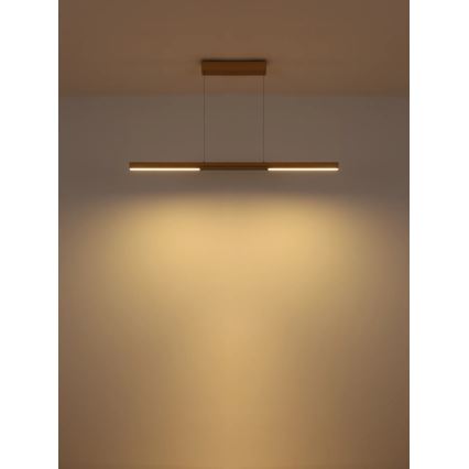 Globo - LED полилей на кабел LED/24W/230V 3000K