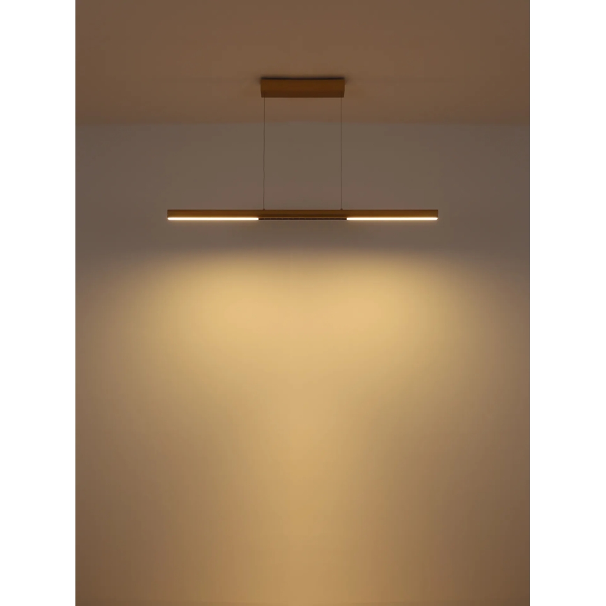 Globo - LED полилей на кабел LED/24W/230V 3000K