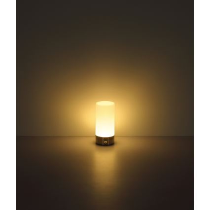 Globo - LED RGBW Димируема сензорна екстериорна настолна лампа LED/1,8W/5V 1500 mAh матов хром