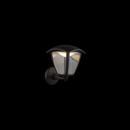 Globo - LED Екстериорен аплик LED/7W/230V IP54