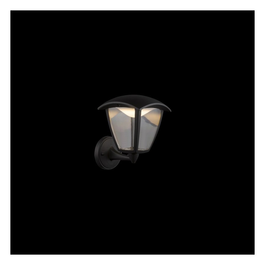 Globo - LED Екстериорен аплик LED/7W/230V IP54