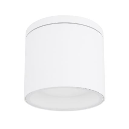 Globo - Екстериорна лампа за таван 1xGX53/11W/230V IP44