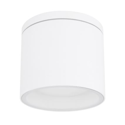 Globo - Екстериорна лампа за таван 1xGX53/11W/230V IP44
