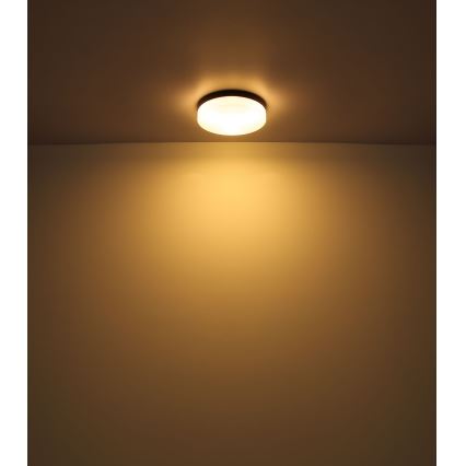 Globo - Лампа за баня 1xE27/60W/230V Ø 18,4 см IP44