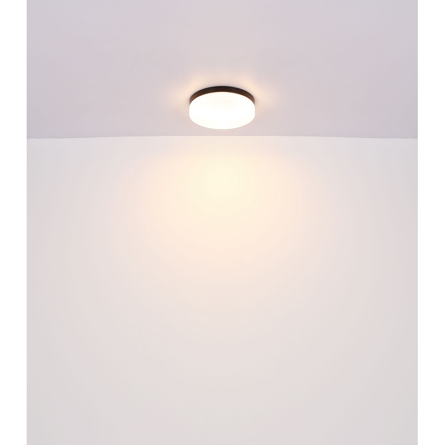 Globo - Лампа за баня 1xE27/60W/230V Ø 18,4 см IP44