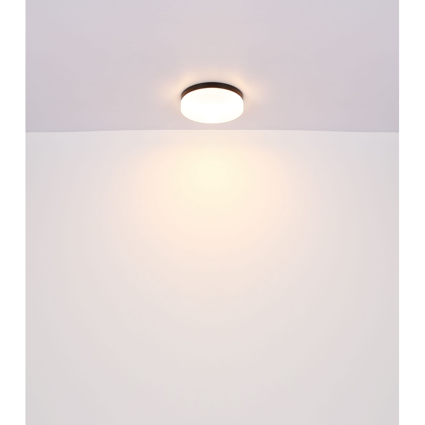 Globo - Лампа за баня 2xE27/60W/230V Ø 24 см IP44