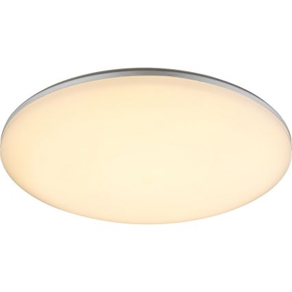 Globo - LED Екстериорна Лампа за таван 1xLED/24W/230V IP54
