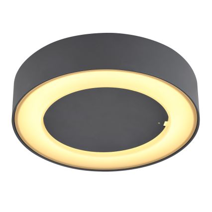 Globo - LED Екстериорна лампа LED/12W/230V IP54