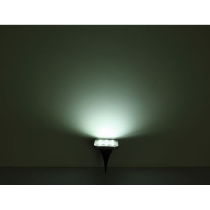 Globo - К-кт 2x LED Соларна лампа LED/0,8W/1,2V IP44 300 mAh