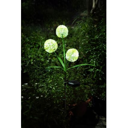 Globo  - LED Соларна лампа 3xLED/0,06W/3V 5000K IP44 200 mAh жълти