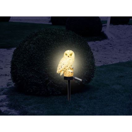 Globo - LED Соларна лампа LED/0,06W/3V IP44 бухал