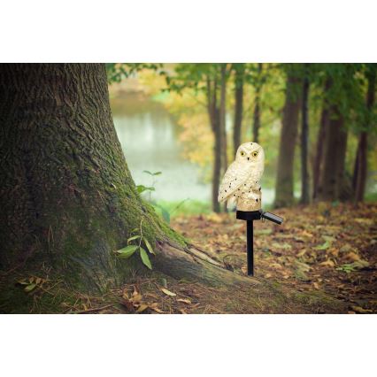 Globo - LED Соларна лампа LED/0,06W/3V IP44 бухал