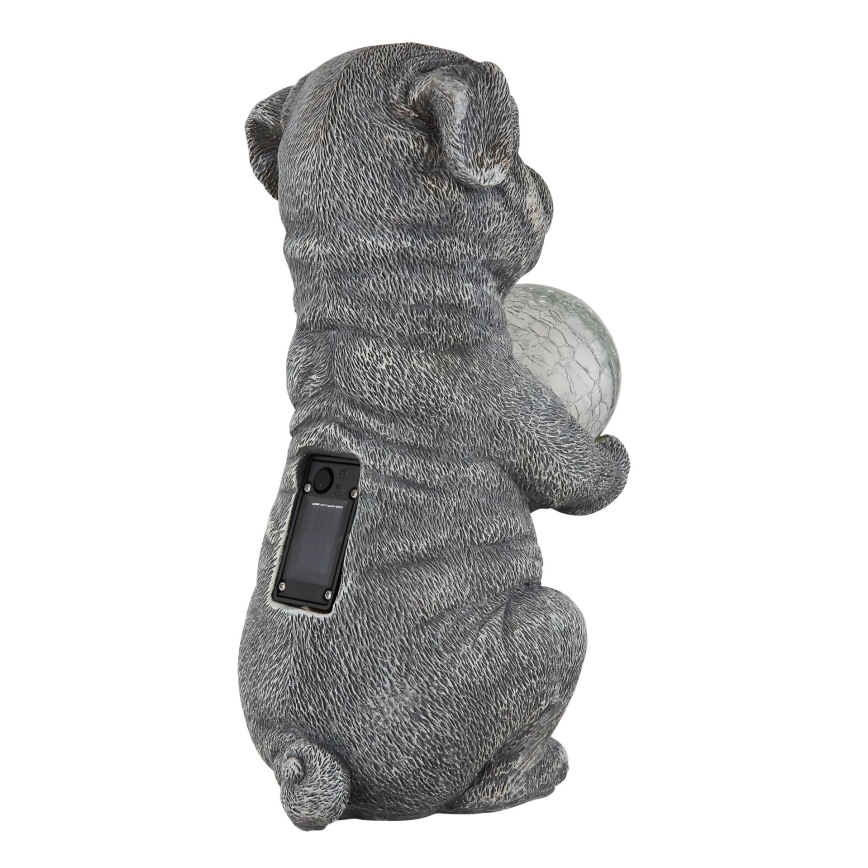 Globo - LED соларна декорация LED/0,02W/3V IP44 300 mAh куче