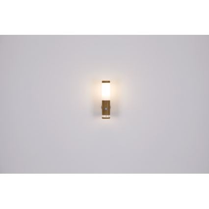 Globo - Екстериорна лампа 1xE27/15W/230V IP44