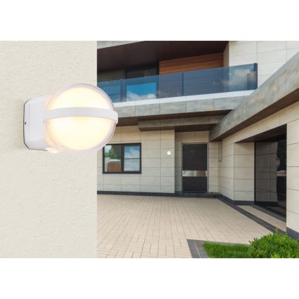 Globo - LED Екстериорен аплик LED/12W/230V IP54 бял