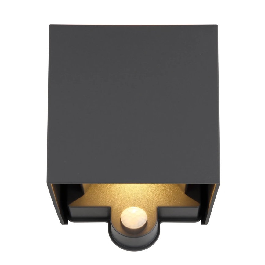 Globo - LED външно стенно осветително тяло със сензор 2xLED/3W/230V IP54