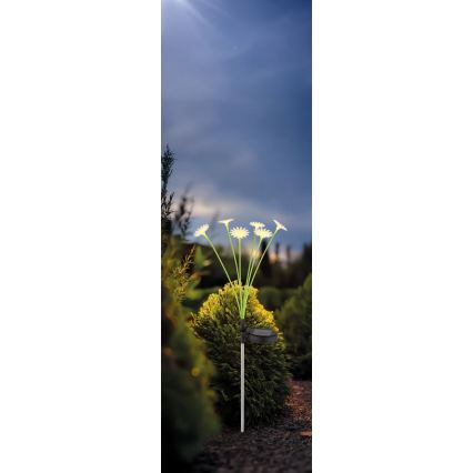 Globo - LED соларно осветително тяло 6xLED/3V IP44 600 mAh цвете