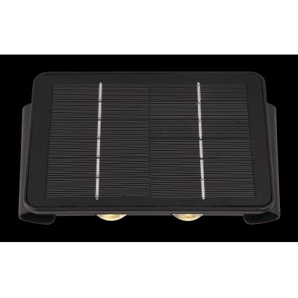 Globo - LED Соларна лампа LED/1W/3,2V 3000K IP54