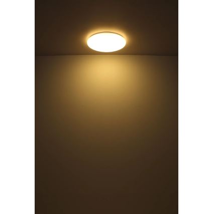 Globo - LED Плафониера LED/24W/230V Ø 49,5 см бял
