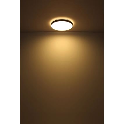 Globo - LED Плафониера LED/24W/230V Ø 48 см антрацит