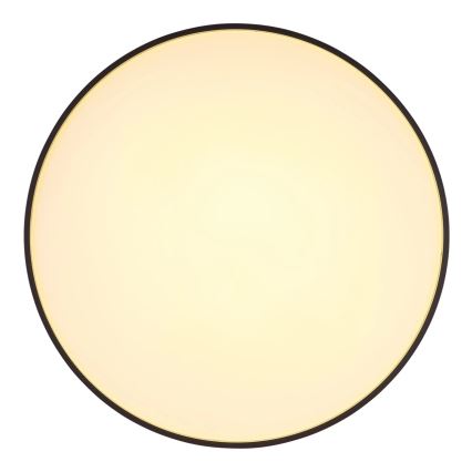 Globo - LED Плафониера LED/24W/230V Ø 48 см антрацит