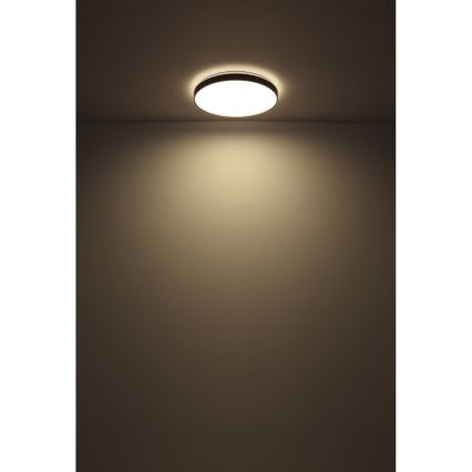 Globo - LED Плафониера LED/24W/230V