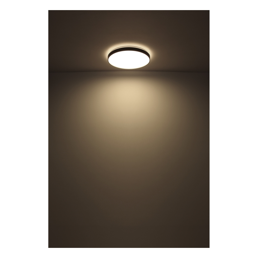 Globo - LED Плафониера LED/24W/230V