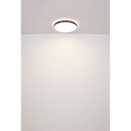 Globo - LED Плафониера LED/24W/230V