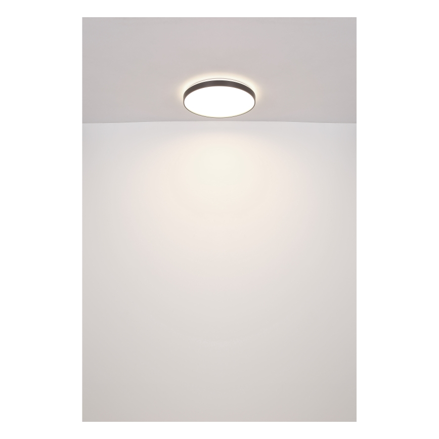 Globo - LED Плафониера LED/24W/230V