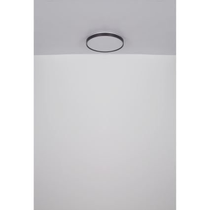 Globo - LED Плафониера LED/24W/230V