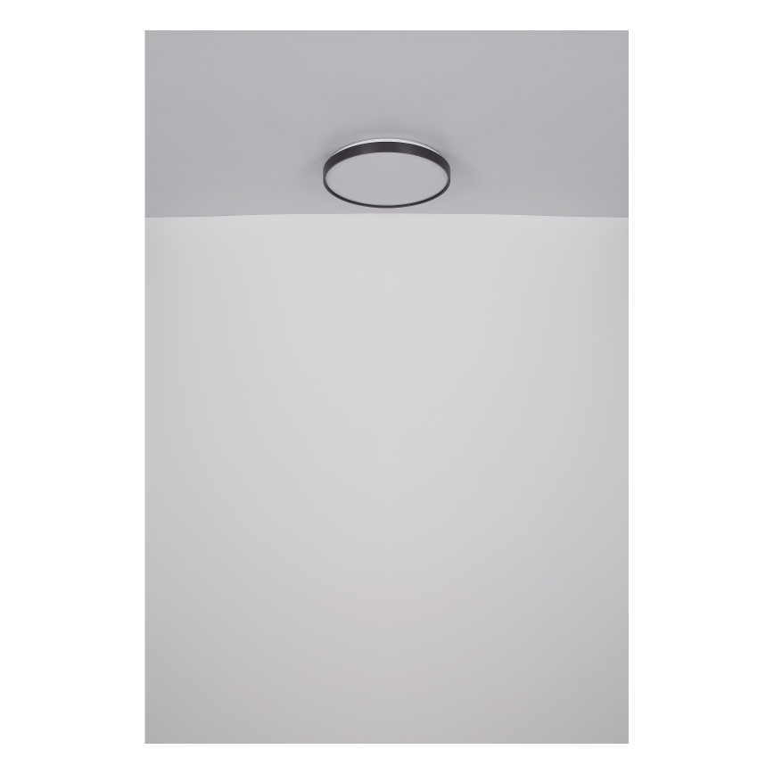 Globo - LED Плафониера LED/24W/230V