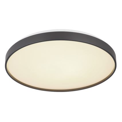 Globo - LED Плафониера LED/24W/230V