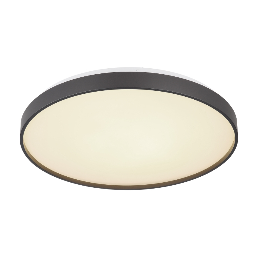 Globo - LED Плафониера LED/24W/230V