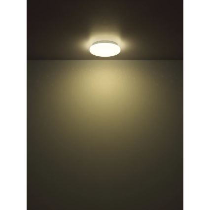 Globo - LED таванен плафон LED/8W/230V 4000K Ø 55 см