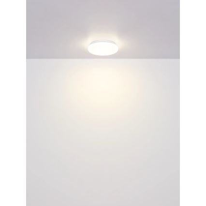 Globo - LED таванен плафон LED/8W/230V 4000K Ø 55 см