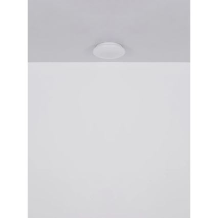Globo - LED таванен плафон LED/8W/230V 4000K Ø 55 см