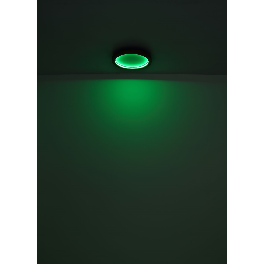Globo - LED RGBW Димируем плафон LED/24W/230V 2700-6000K + дистанционно управление