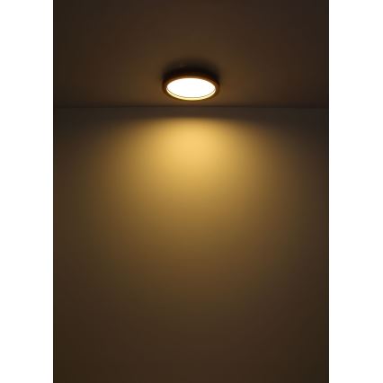 Globo - LED RGBW Димируем плафон LED/24W/230V 2700-6000K + дистанционно управление