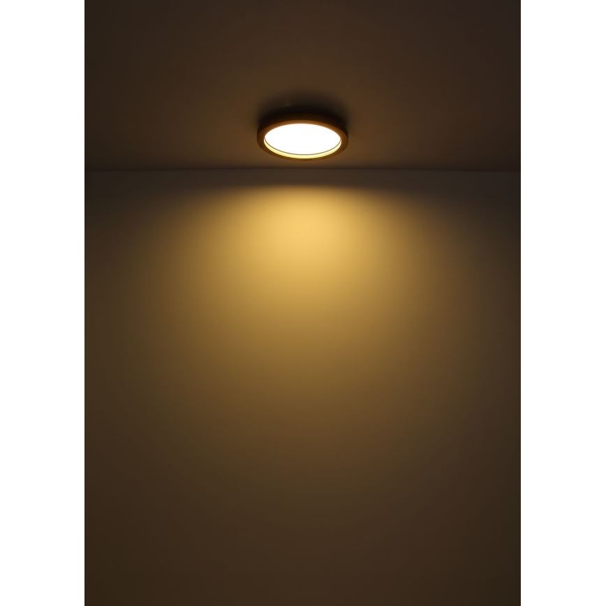 Globo - LED RGBW Димируем плафон LED/24W/230V 2700-6000K + дистанционно управление
