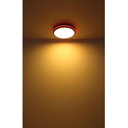 Globo - LED RGBW Димируем плафон LED/40W/230V 2700-6500K + дистанционно управление