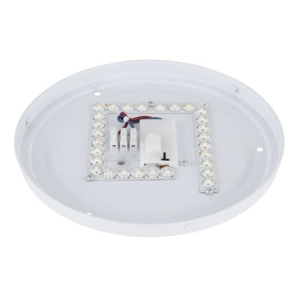 Globo - LED таванно осветително тяло LED/12W/230V 3000/4200/6500K Ø 26 см