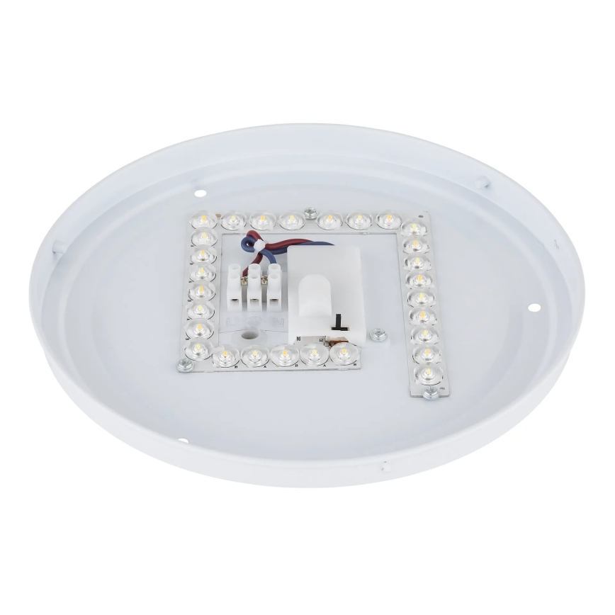 Globo - LED таванно осветително тяло LED/12W/230V 3000/4200/6500K Ø 26 см