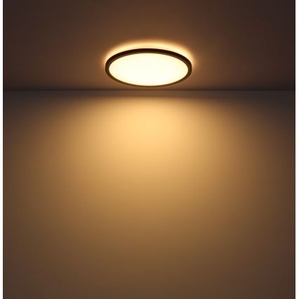 Globo - LED Димируем плафон за баня LED/24W/230V Ø 42 см IP44 черен