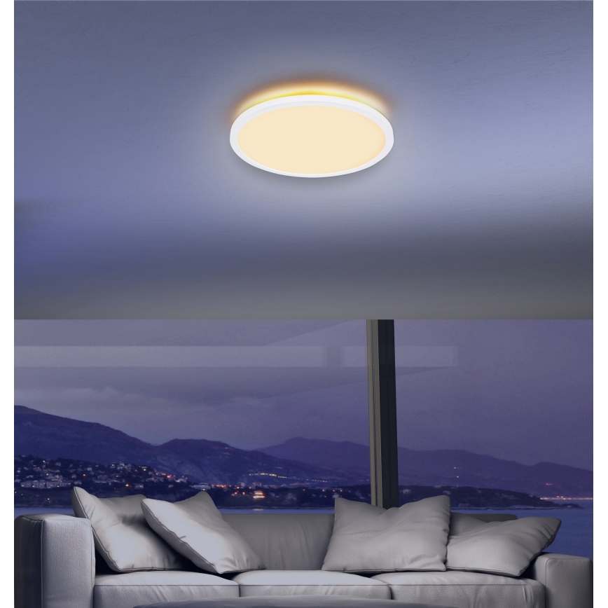 Globo - LED Димируем плафон за баня LED/24W/230V Ø 42 см IP44 бял