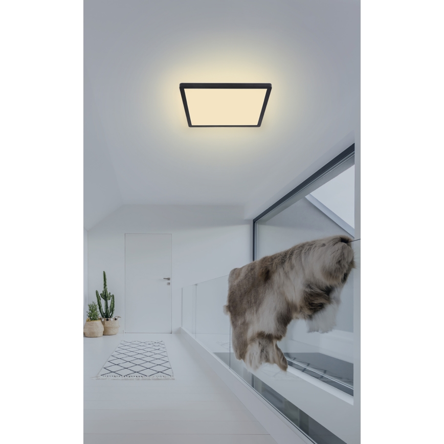 Globo - LED Димируем плафон за баня LED/18W/230V 29,4x29,4 см IP44 черен