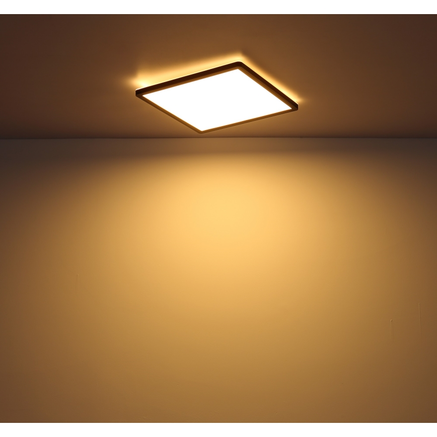 Globo - LED Димируем плафон за баня LED/18W/230V 29,4x29,4 см IP44 черен