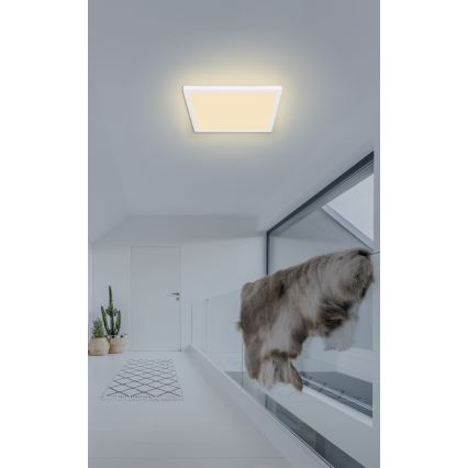 Globo - LED Димируем плафон за баня LED/18W/230V 29,4x29,4 см IP44 бял