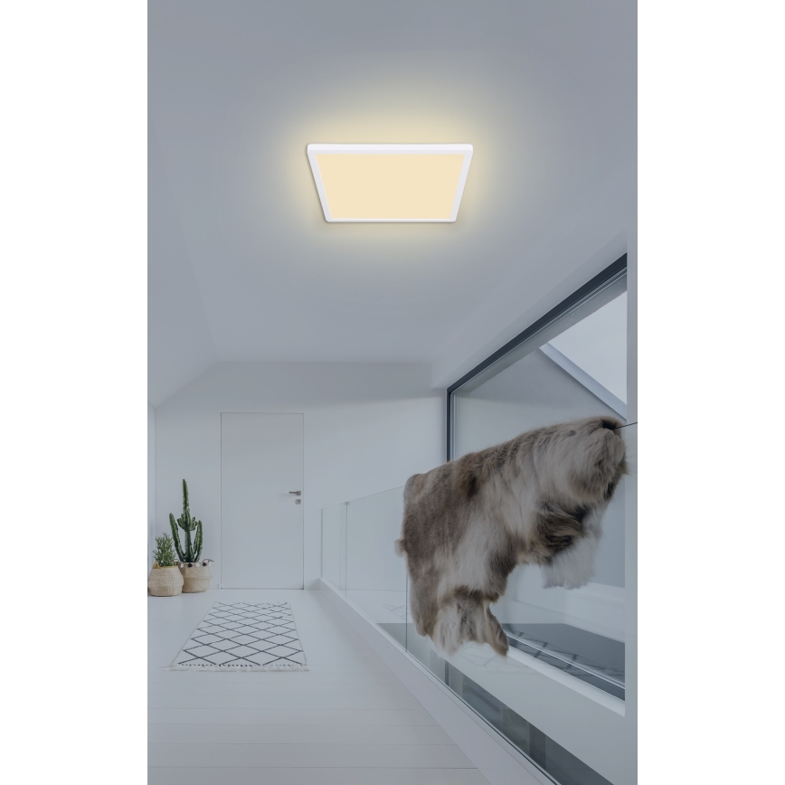 Globo - LED Димируем плафон за баня LED/18W/230V 29,4x29,4 см IP44 бял