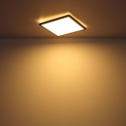 Globo - LED Димируем плафон за баня LED/24W/230V 42x42 cm IP44 черен